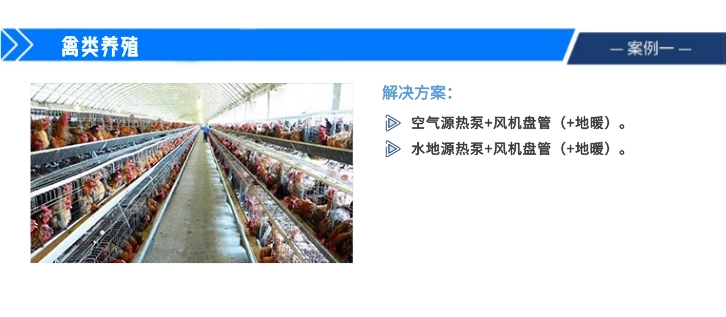 1675822392191425.jpeg 种养殖——禽类.jpeg